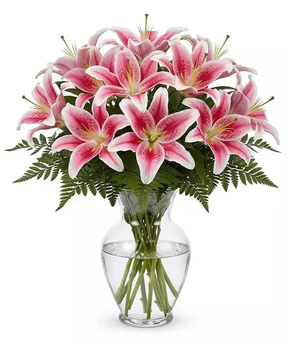 Extra Large Lily Beauty bloomexusa