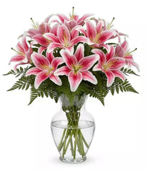 Extra Large Lily Beauty bloomexusa