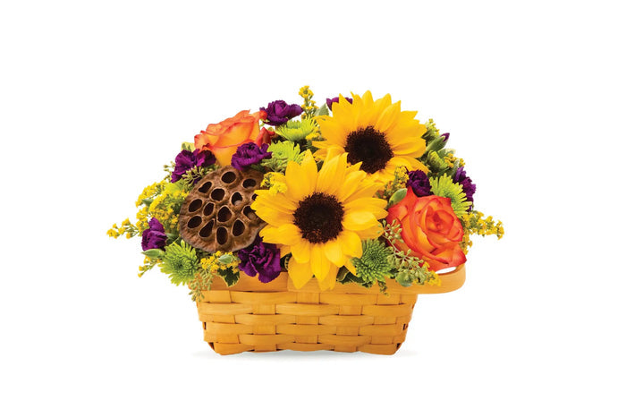 Fall Celebration Basket bloomexusa