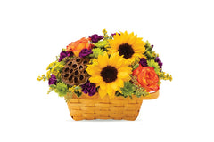 Fall Celebration Basket bloomexusa