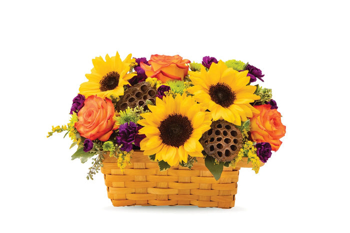 Fall Celebration Basket bloomexusa
