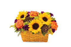Fall Celebration Basket bloomexusa