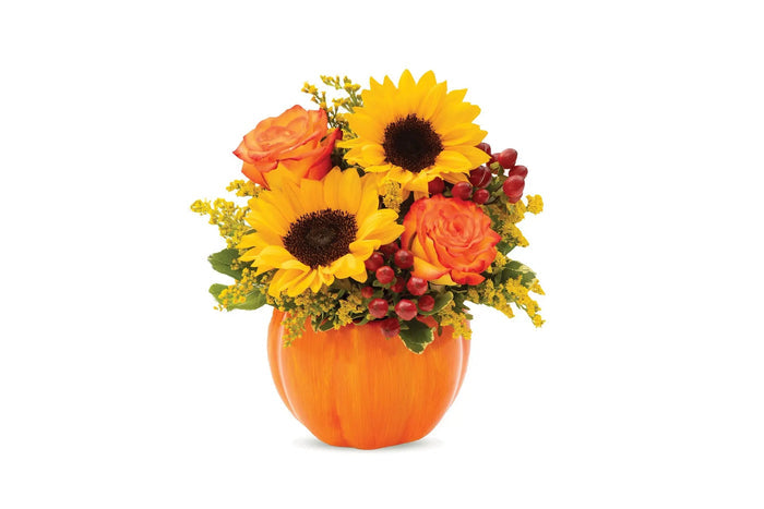 Fall Celebration Pumpkin bloomexusa