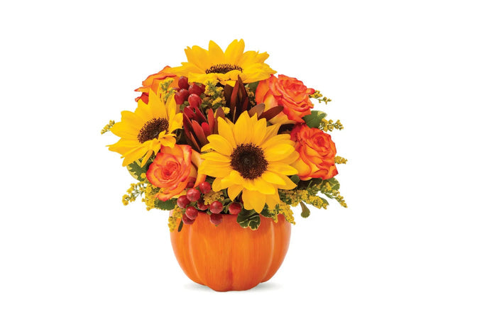 Fall Celebration Pumpkin bloomexusa