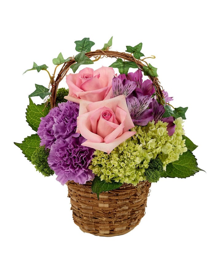 Garden Ivy Basket bloomexusa