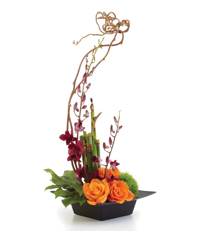 Harmony, Serenity & Style bloomexusa