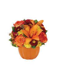 Harvest Pumpkin bloomexusa