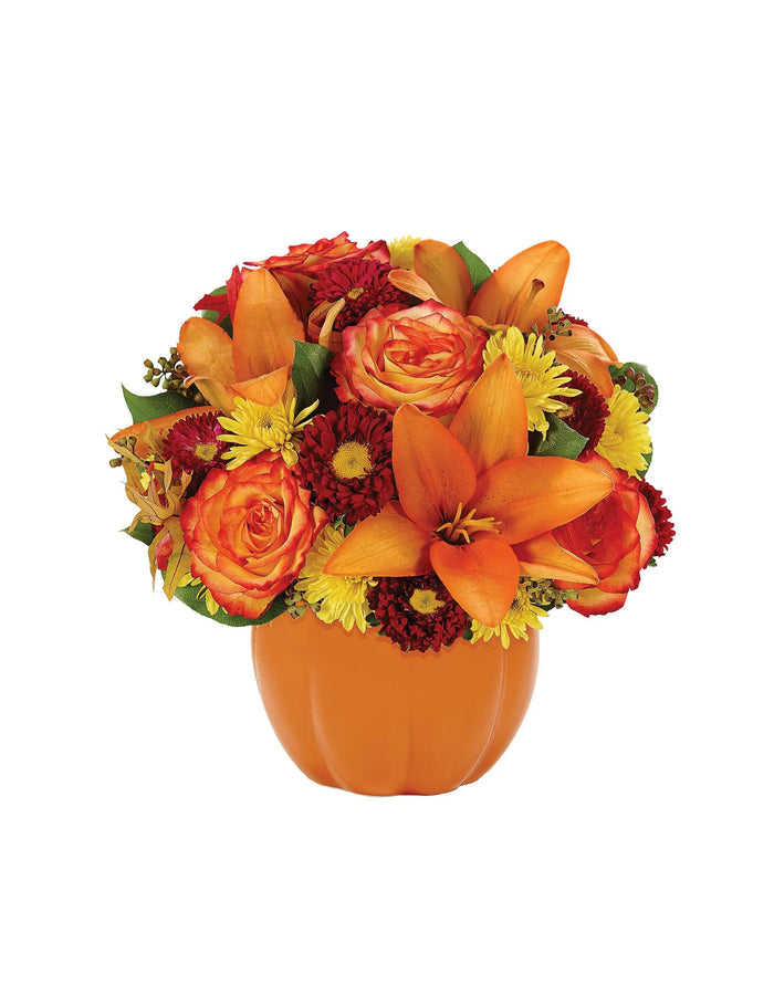 Harvest Pumpkin bloomexusa