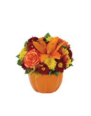 Harvest Pumpkin bloomexusa