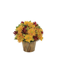 Harvest Woodland Wishes bloomexusa