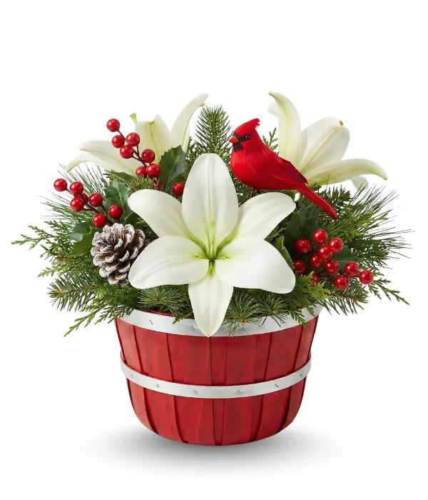 Holiday Cardinal Garden Surprise bloomexusa