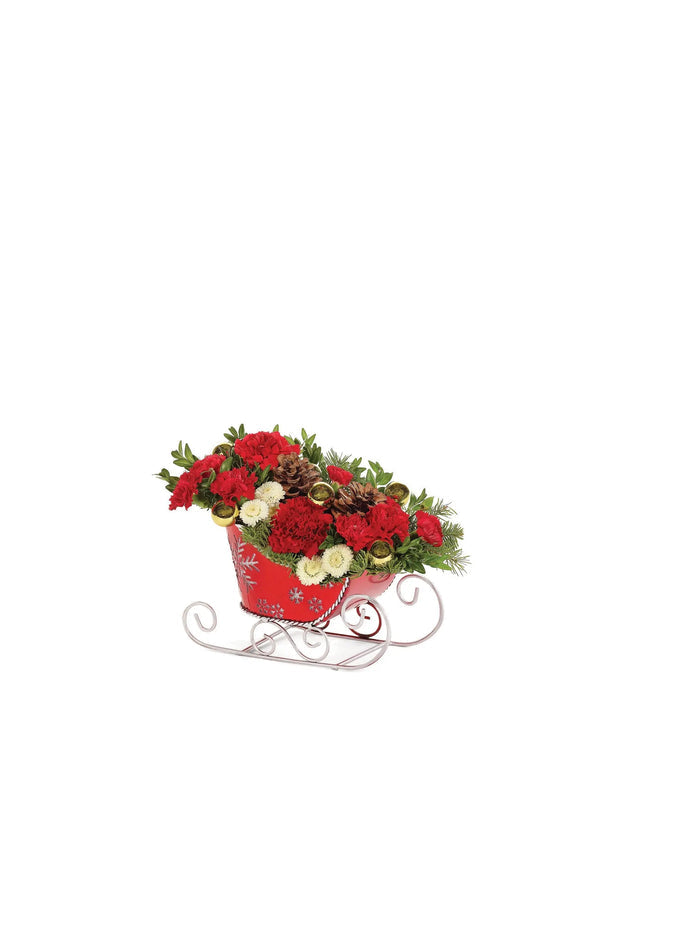 Holiday Sleighride Celebration bloomexusa