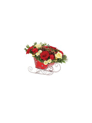 Holiday Sleighride Celebration bloomexusa