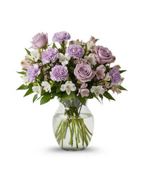 Lavender & White Brilliance bloomexusa