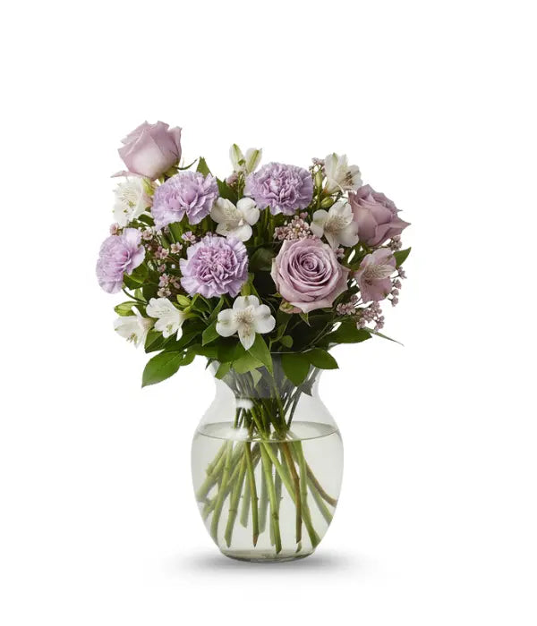 Lavender & White Brilliance bloomexusa