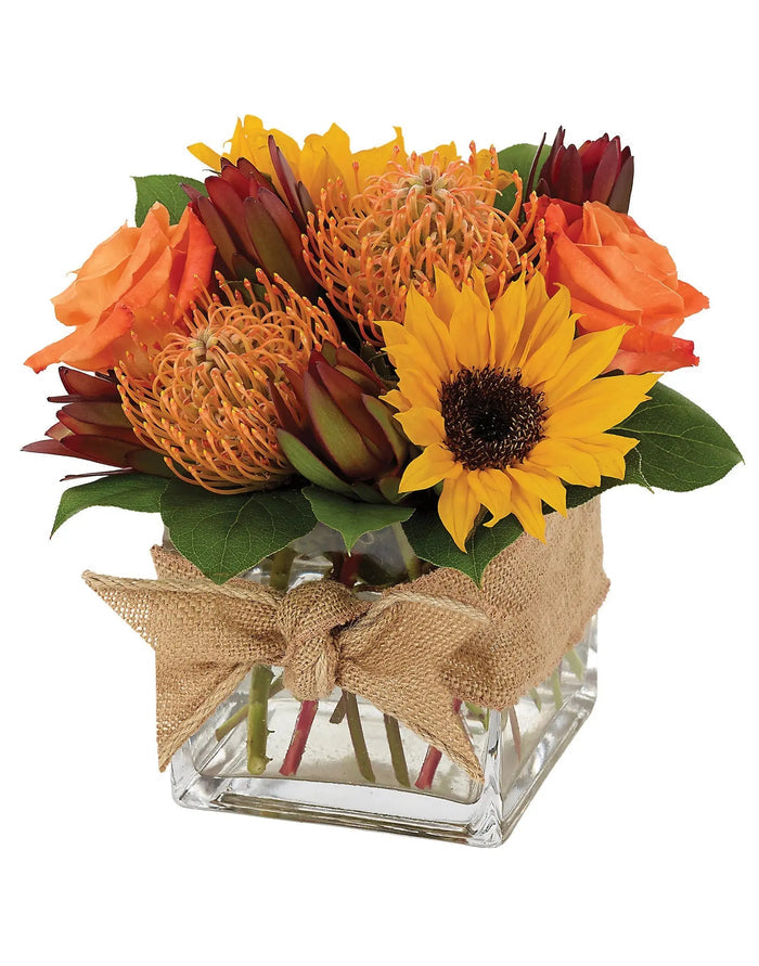 Nature's Bounty - Fall bloomexusa