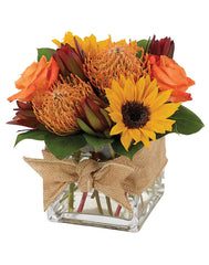 Nature's Bounty - Fall bloomexusa