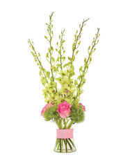 Oh My Orchids Bouquet bloomexusa