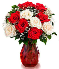 One Dozen Candy Cane Roses bloomexusa
