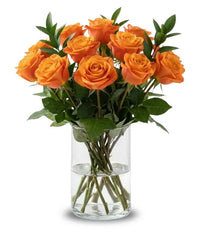 One Dozen Long Stemmed Orange Roses - Bloomex Usa