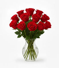 One Dozen Long Stemmed Red Roses - Bloomex Usa