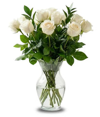 One Dozen Long Stemmed White Roses - Bloomex Usa