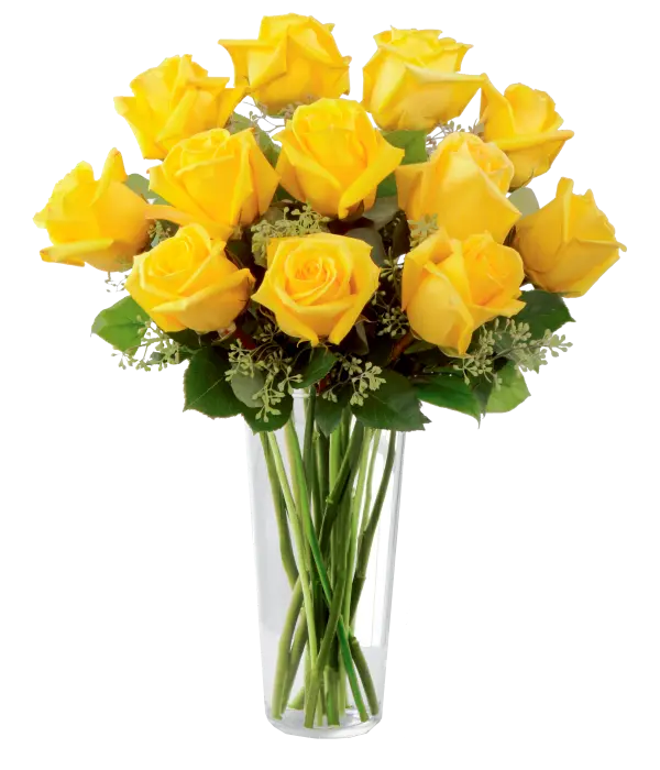 One Dozen Long Stemmed Yellow Roses bloomexusa