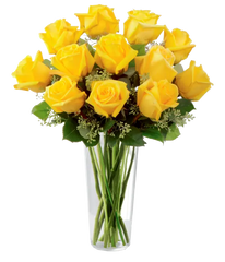 One Dozen Long Stemmed Yellow Roses bloomexusa