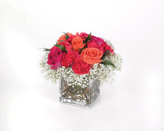 Rich 'n Rosy bloomexusa