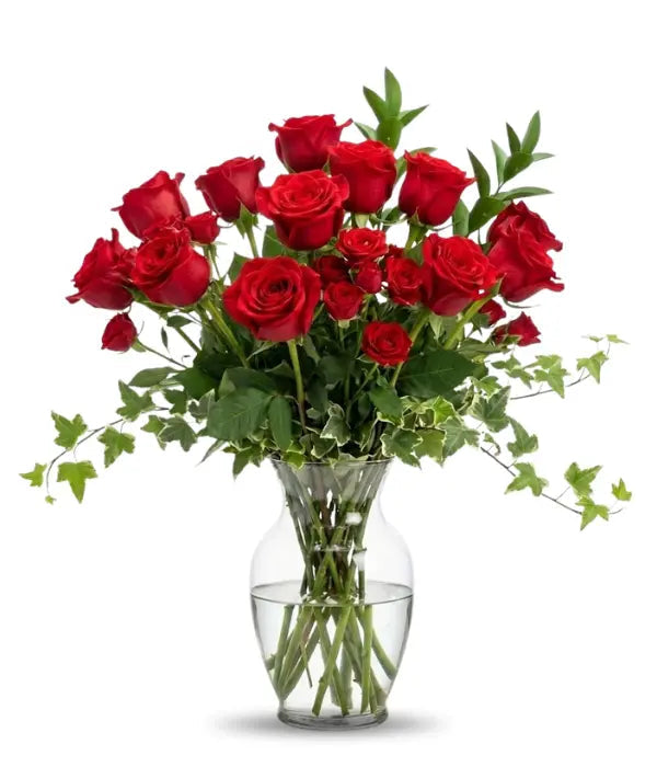Rose Romanesque - Bloomex Usa