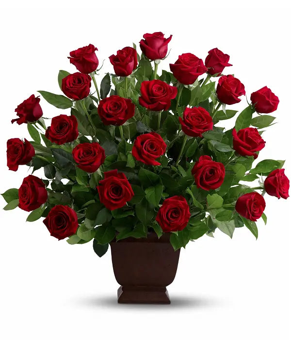 Rose Tribute bloomexusa