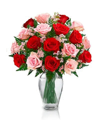 Scarlet Mist bloomexusa