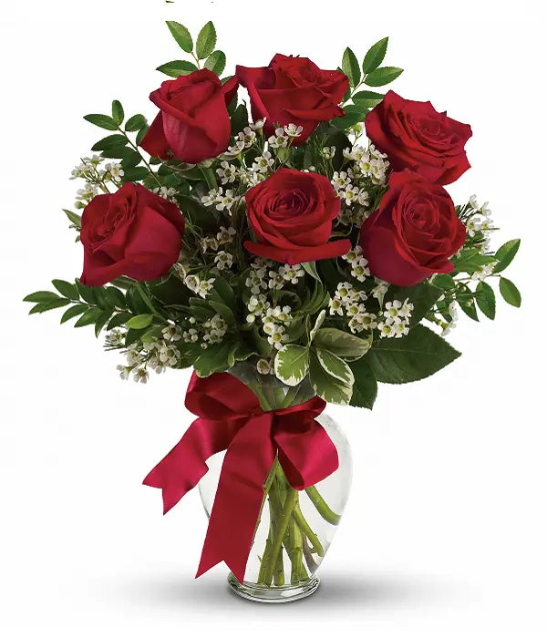 Six Red Roses bloomexusa