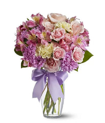 Splendid Spring bloomexusa