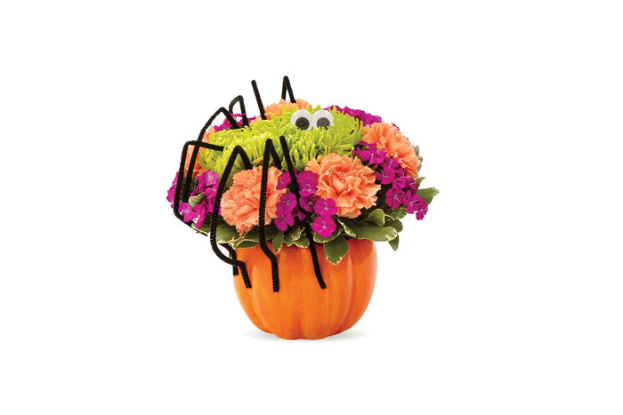 Spooky Spider Pumpkin bloomexusa