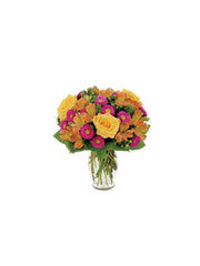 SPRING SPLENDOR bloomexusa