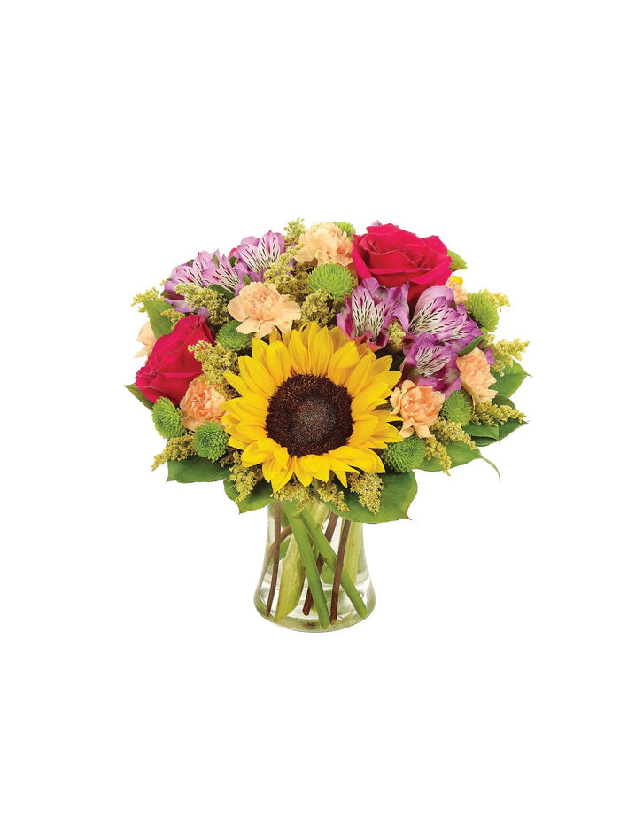 Sunflower Celebration bloomexusa