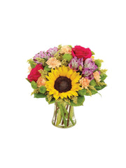 Sunflower Celebration bloomexusa