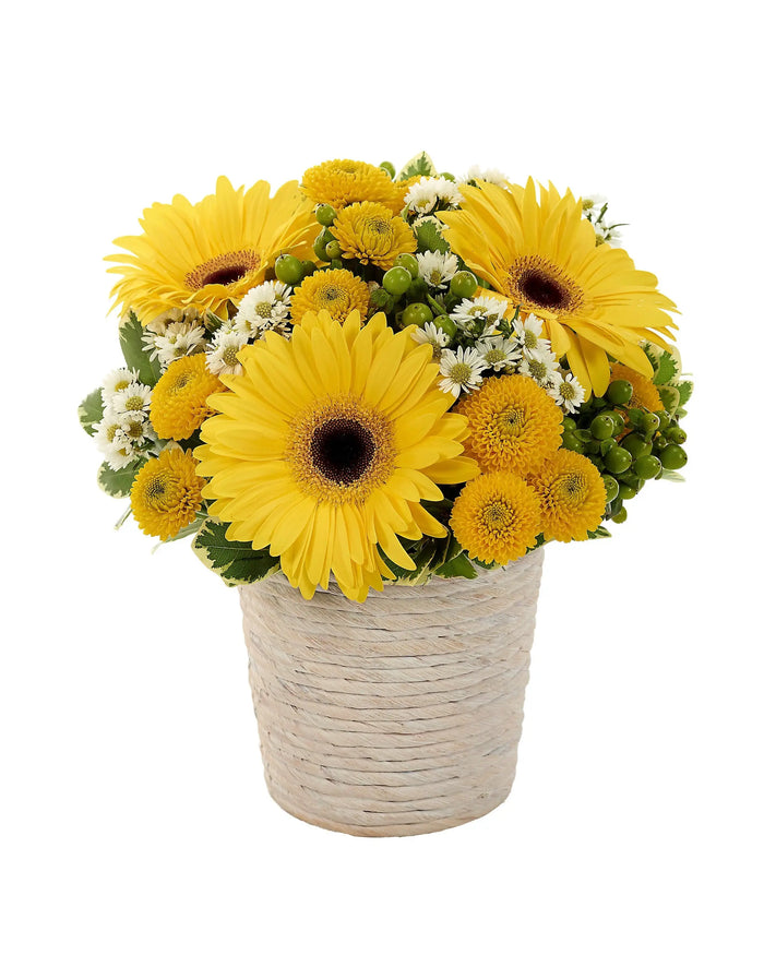 Sunny Day Dream Bouquet bloomexusa