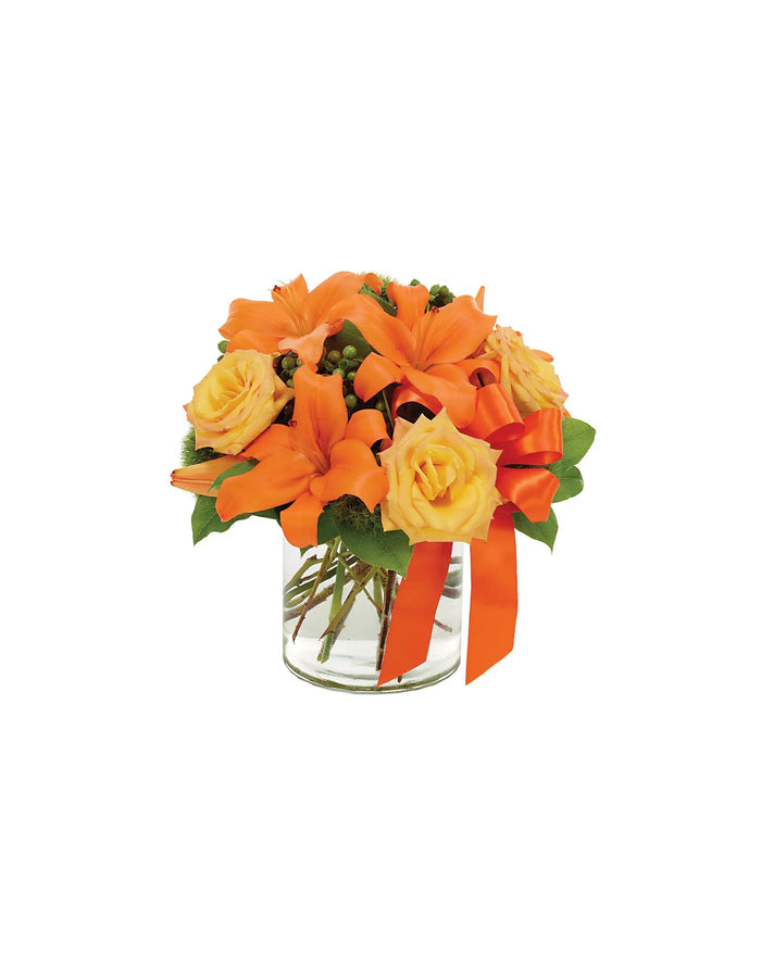 TANGERINE TANGO SURPRISE bloomexusa