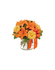 TANGERINE TANGO SURPRISE bloomexusa