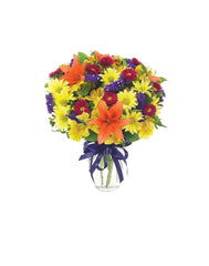 Today & Everyday bloomexusa