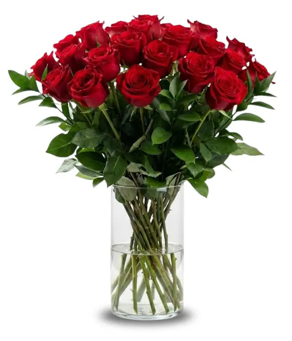 Two Dozen Long Stem Red Roses - Bloomex Usa