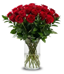 Two Dozen Long Stem Red Roses - Bloomex Usa