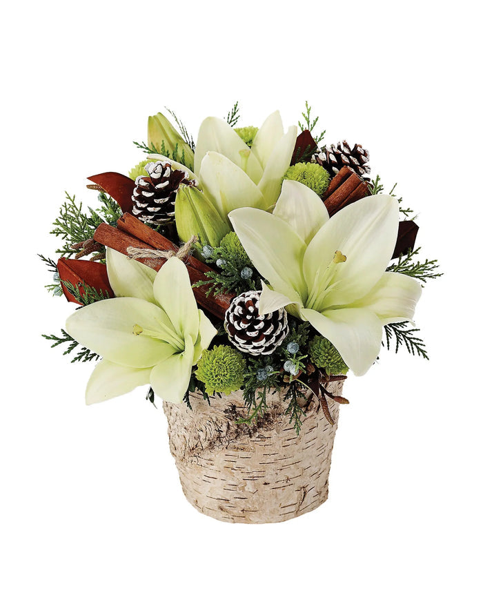 Winter Forest Splendor bloomexusa
