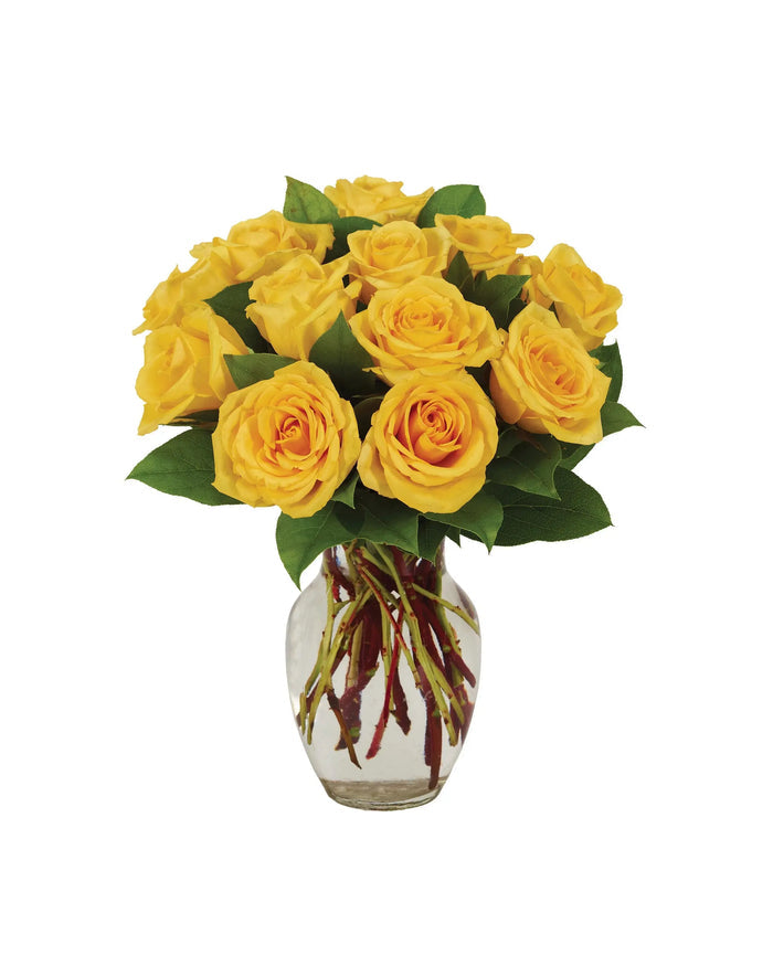 YELLOW ROSE BOUQUET bloomexusa